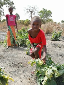 Garden workers